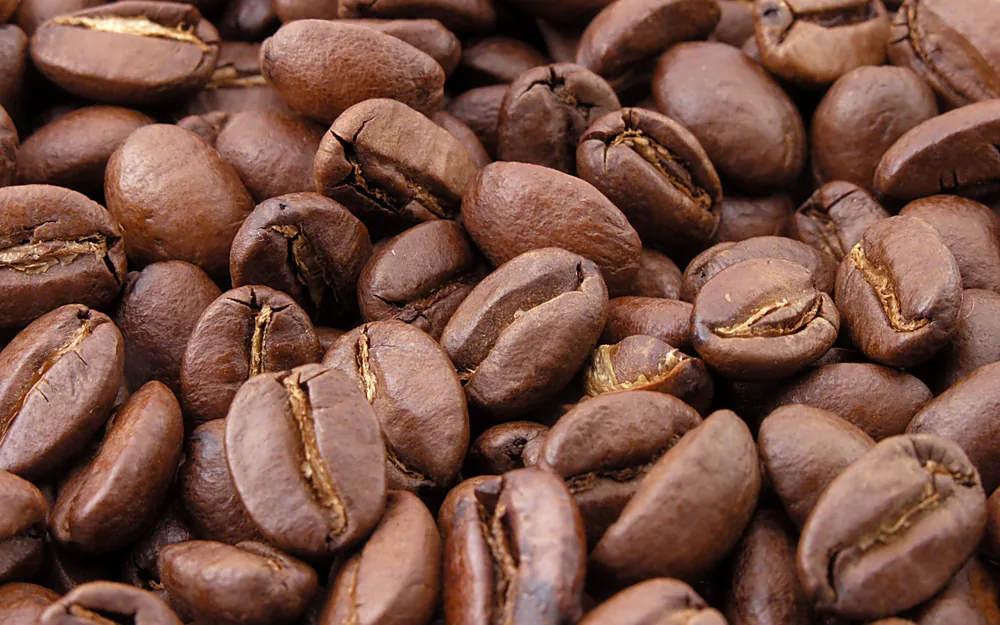 Fincas de café en Mesa de los Santos, Santander